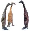 Sally's bronzes
